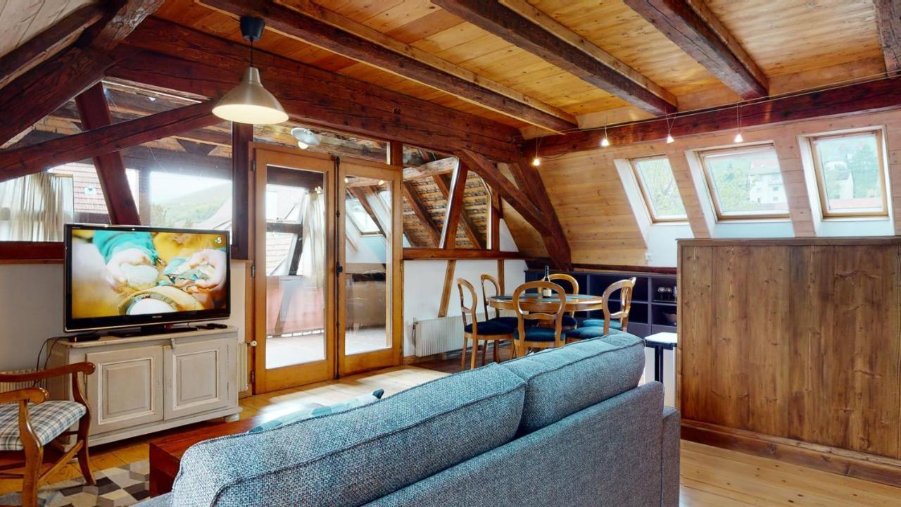 Les Appartements Manala - Turckheim Exteriér fotografie