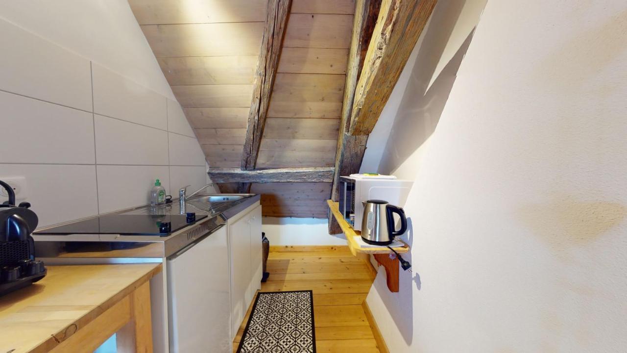 Les Appartements Manala - Turckheim Exteriér fotografie