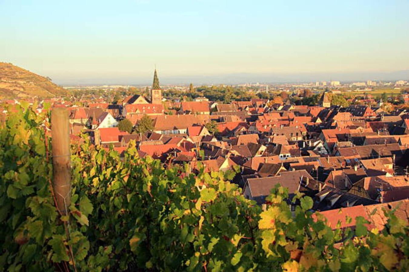 Les Appartements Manala - Turckheim Exteriér fotografie